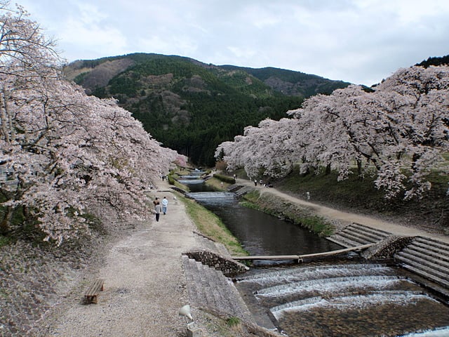 管内の紹介｜野洲川土地改良区（水土里ネット野洲川）